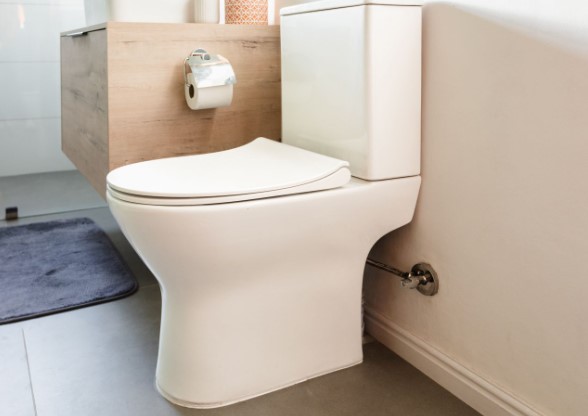 How to Make the Toilet Flush Better