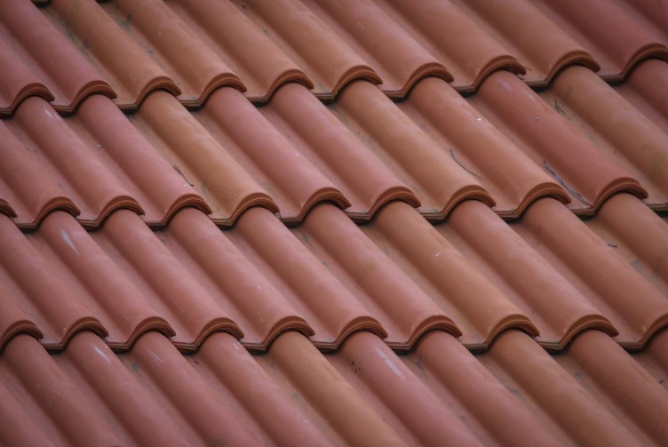 New Property, New Roof: Why Professional Roofing Services Are Essential