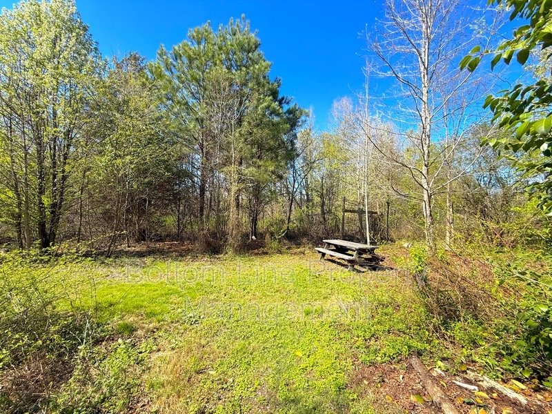 Renovated property image