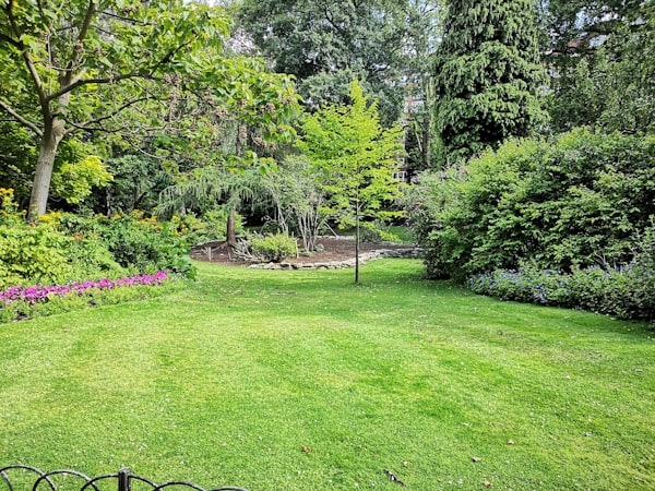 front yard