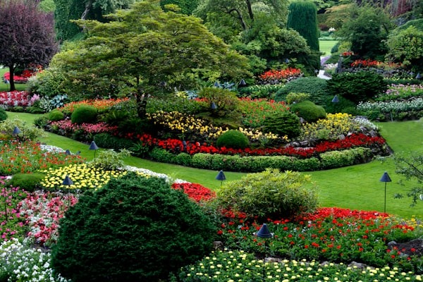 seasonal landscaping