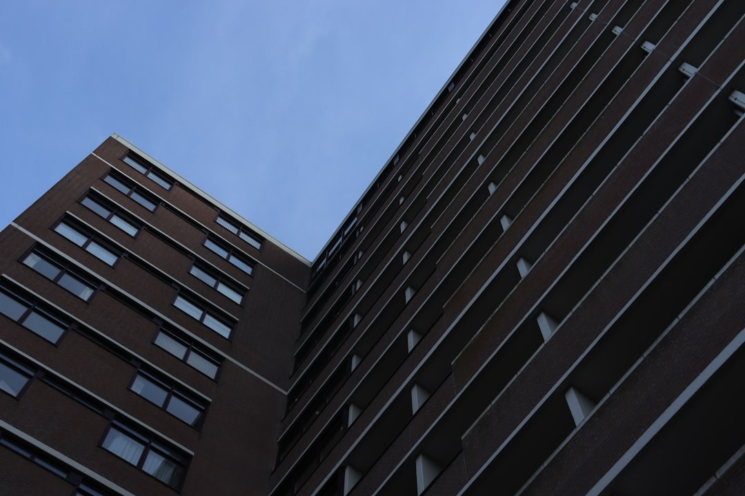 Person cleaning the exterior windows of a residential property