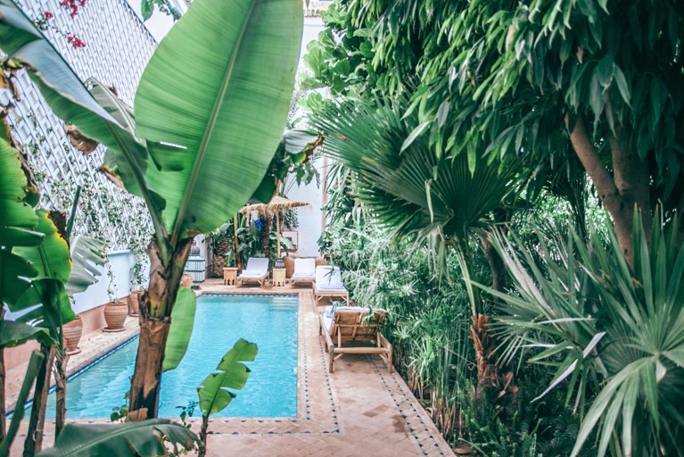 What to Consider When Planning an Outdoor Swimming Oasis