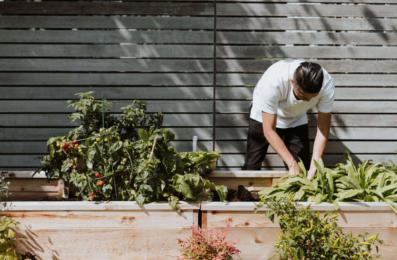 4 Tips to Create a Low-Maintenance Garden in Your Rental Property