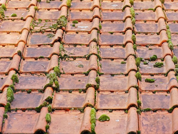 6 Practical Roof Upgrades & Replacements for Every Home Investor