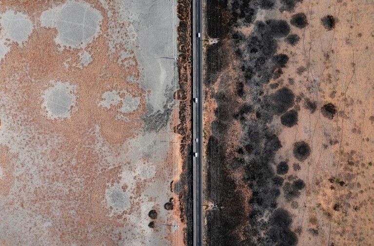 6 Essential Tips for Winning the Battle Against Mold