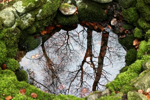How To Maintain Your Own Local Water Source
