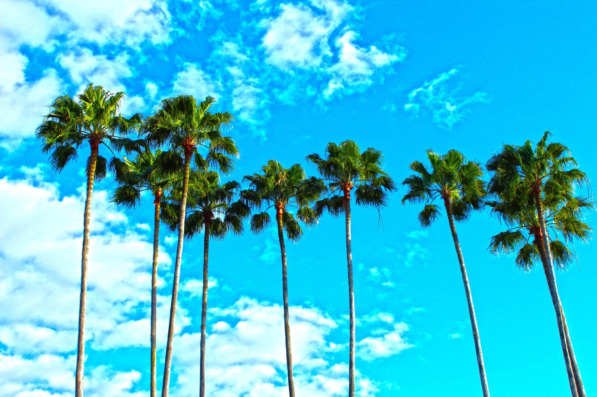 The Ultimate Guide to Finding Your Perfect Home in Paradise