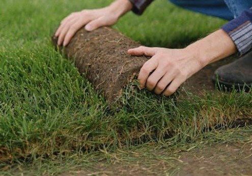 Lush Lawns and High Returns: Increasing Property Value with Turf Grass