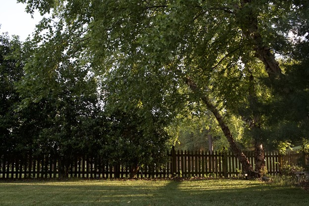 Why Your Backyard Could Be Your Home’s Biggest Asset