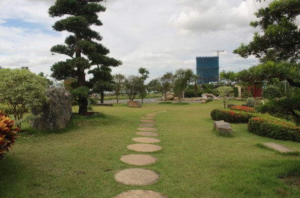 Integrating Native Plants into Commercial Garden Designs